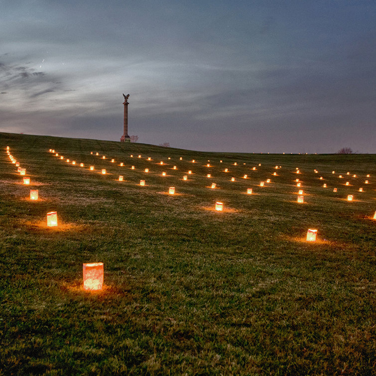 LumaBase Paper Luminaria Bags Wayfair